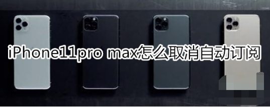 iPhone11pro max如何取消自动订阅。